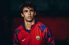 德甲生死局：沃尔夫斯堡VS海登海姆——保级与反弹的终极对决